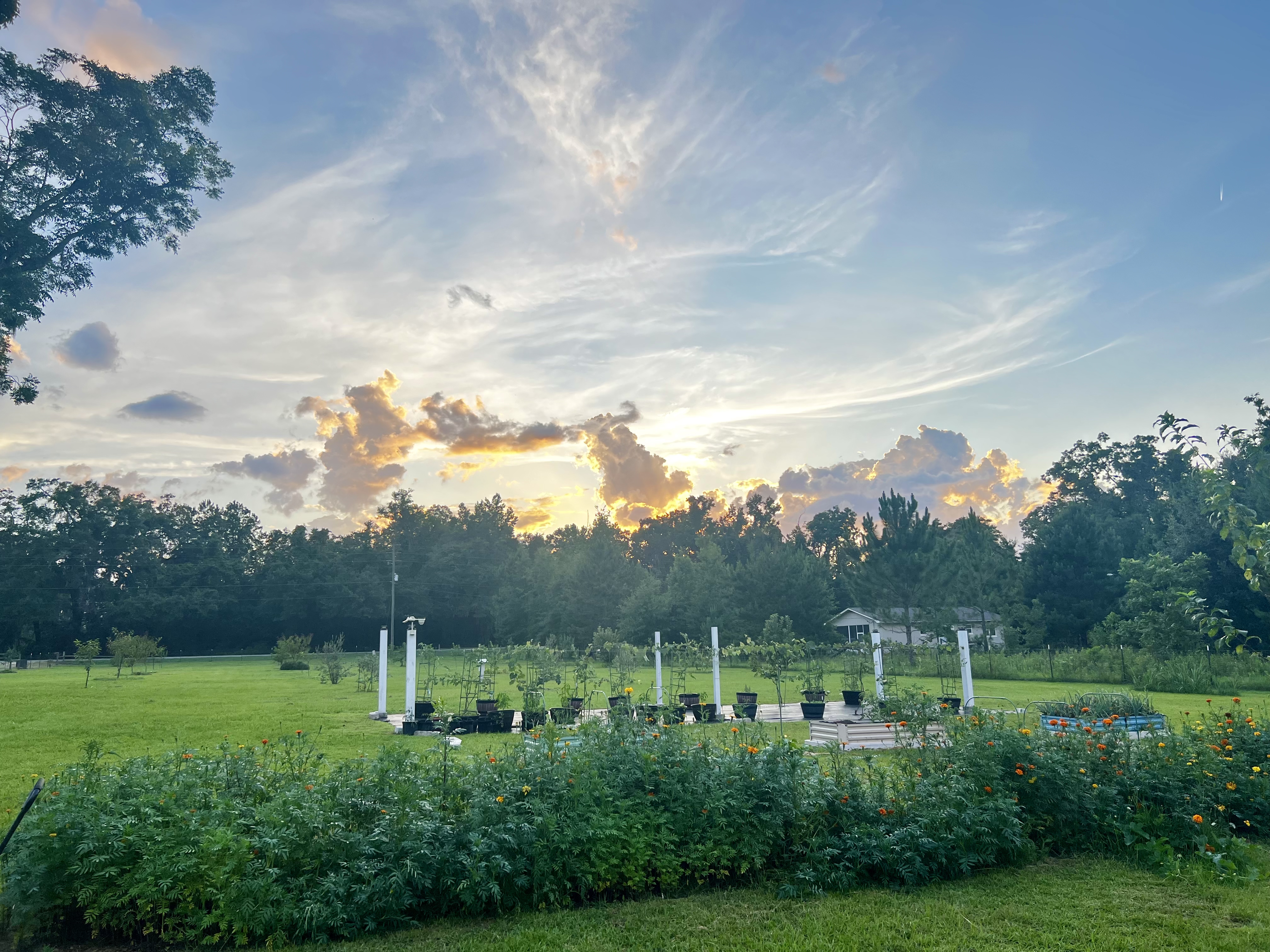Grove & Garden